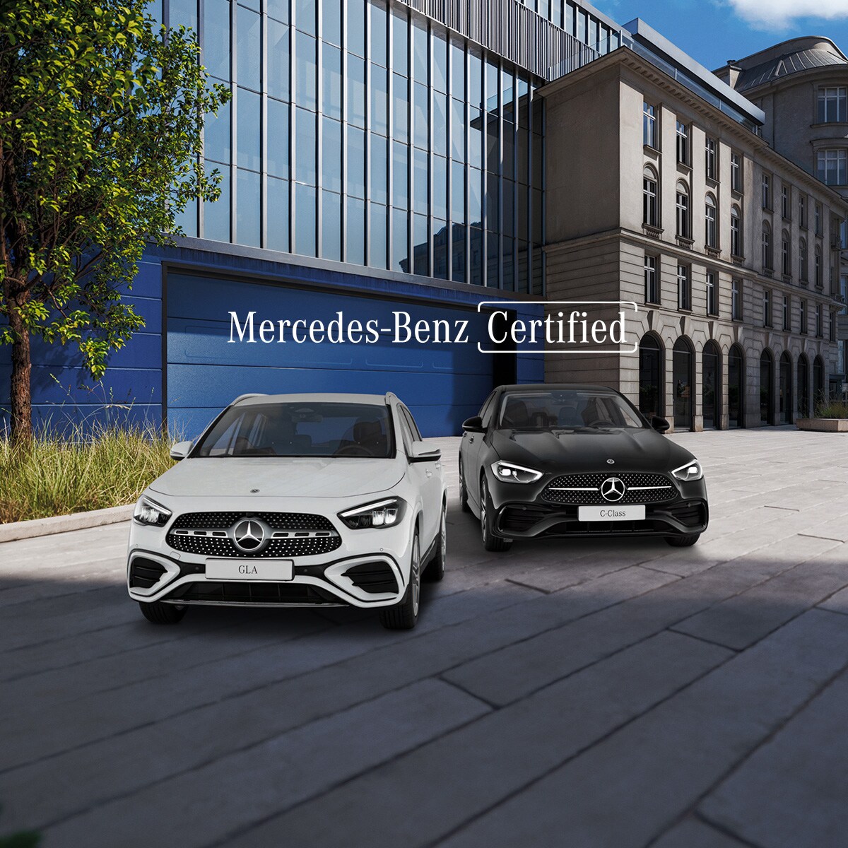 Visual frontal de un GLA blanco y un Clase C negro aparcados en la calle